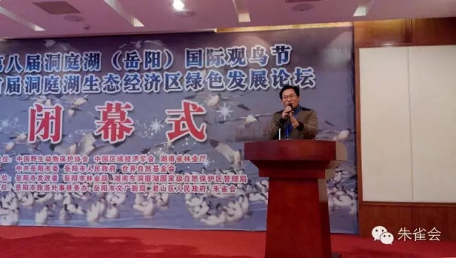 1450098986337864.jpg 640.webp (2).jpg