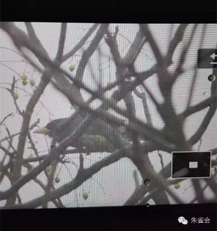 1450099204896889.jpg 640.webp (6).jpg