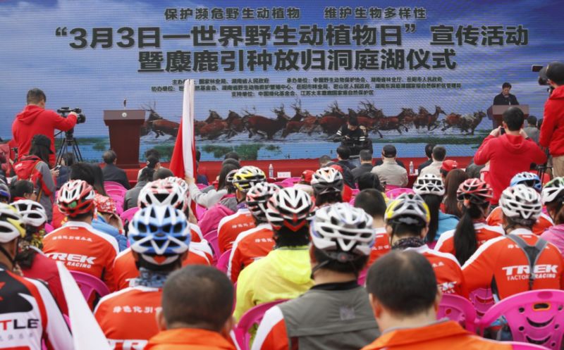 1457013010737403.jpg IMG_0183.JPG