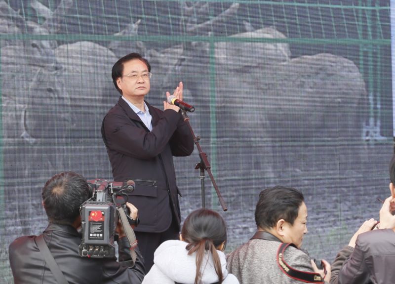 1457013048315310.jpg IMG_0209.JPG