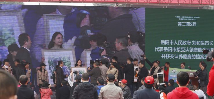 1457013106851736.jpg IMG_0186.JPG