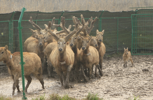 1457013163349460.png IMG_0199.PNG