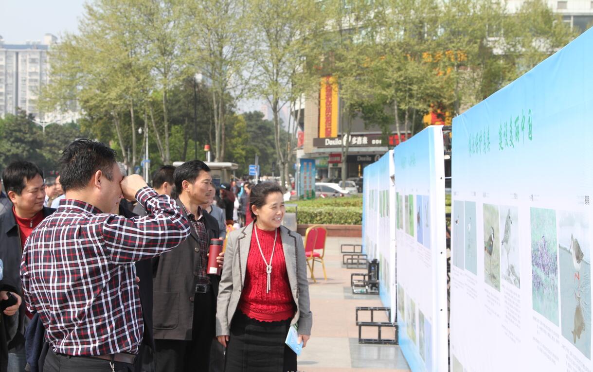 1459502476654952.jpg QQ截图20160401171356.jpg