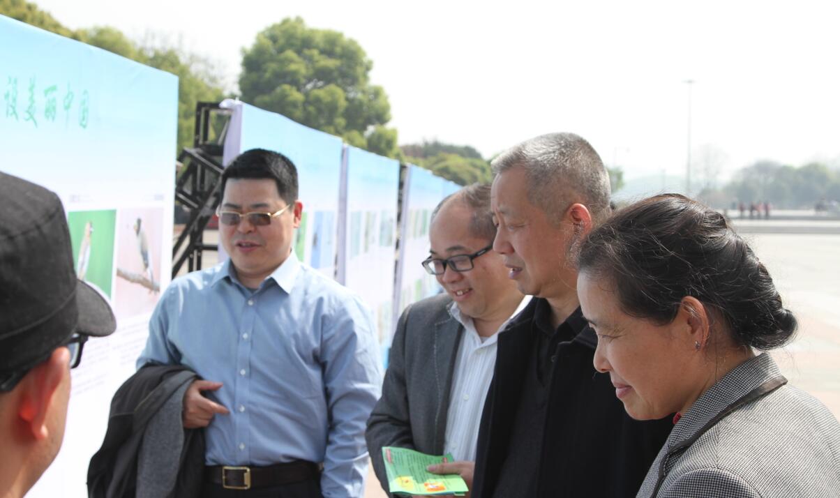 1459502551621960.jpg QQ截图20160401173119.jpg