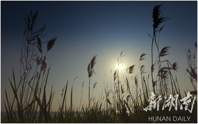 1461224010440210.png QQ图片20160421150302.png