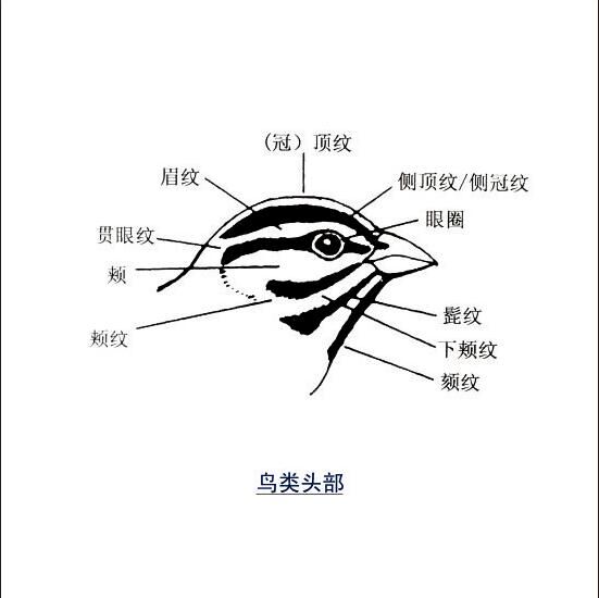 1462522095660357.jpg QQ图片20160506155058.jpg