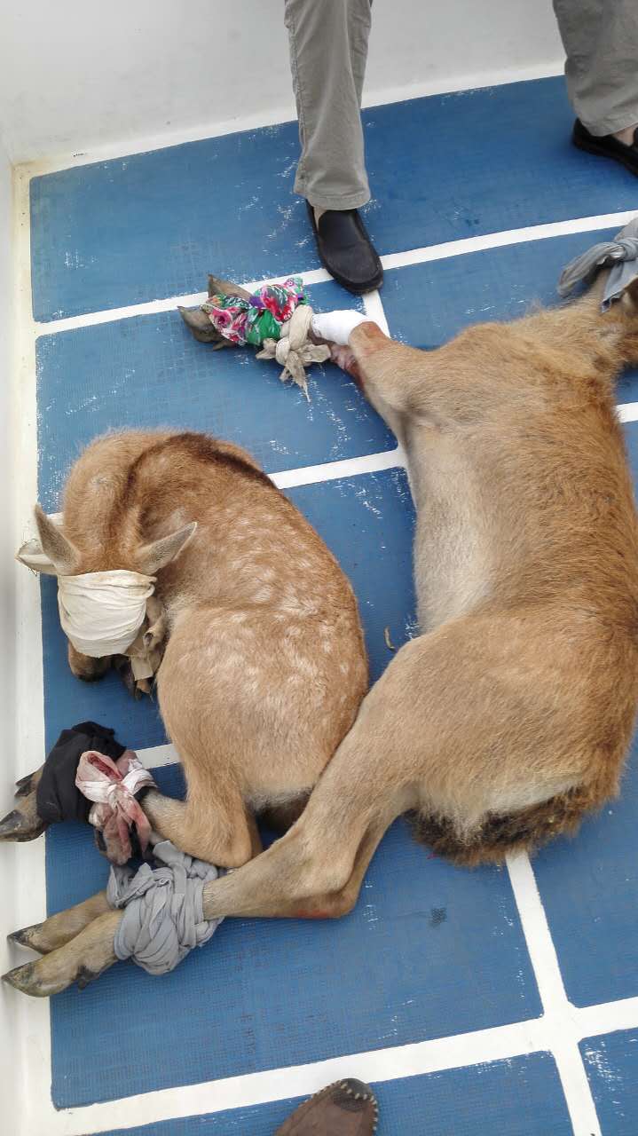 1463623377829489.jpg IMG_0671.JPG