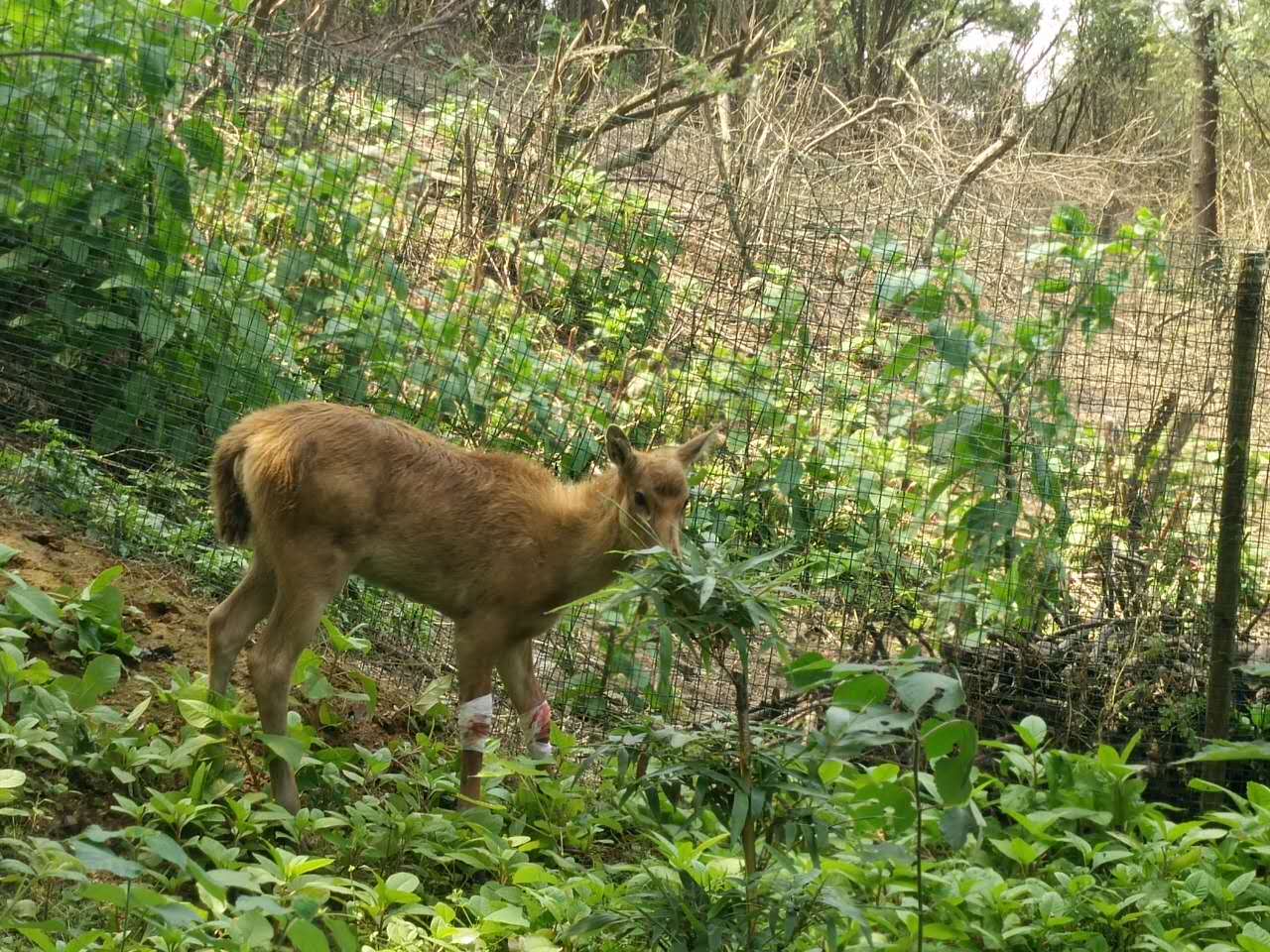 1463623407909609.jpg IMG_0668.JPG