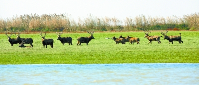 1468285113751403.jpg res07_attpic_brief.jpg