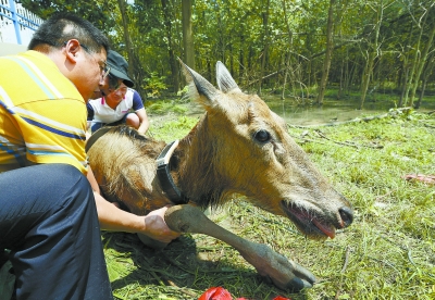 1468285114228854.jpg res15_attpic_brief.jpg