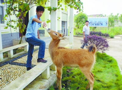 1468285114898922.jpg res11_attpic_brief.jpg