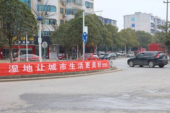 1517902840952953.jpg YAOY7309.