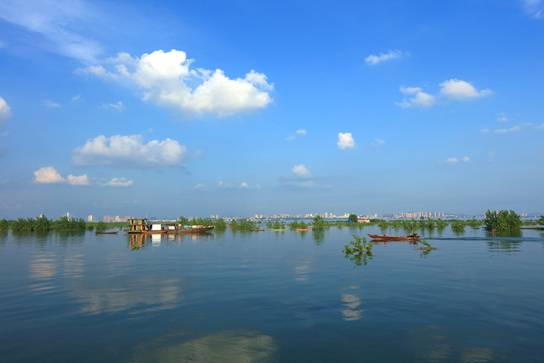 1517902860210199.jpg 洞庭湖夏季景观..