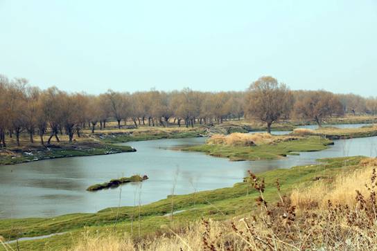 1517902867136049.jpg 冬季洞庭湿地景观