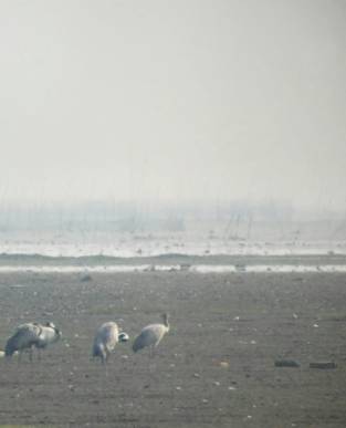 1519869278986771.jpg 微信图片_20180228111443.jpg