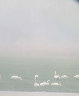 1519869287929355.jpg 微信图片_20180228111502.jpg