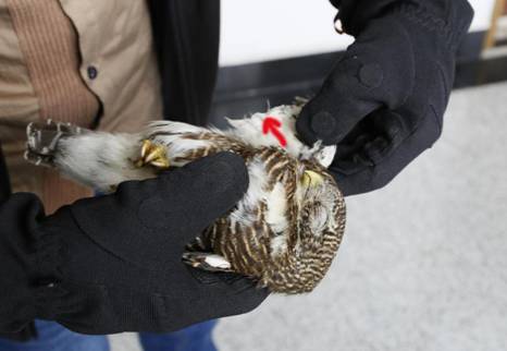 1519974784381739.jpg _AOL8453..