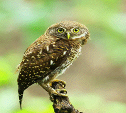 1519974843484109.gif 2018-03-02 09:40:41.943000