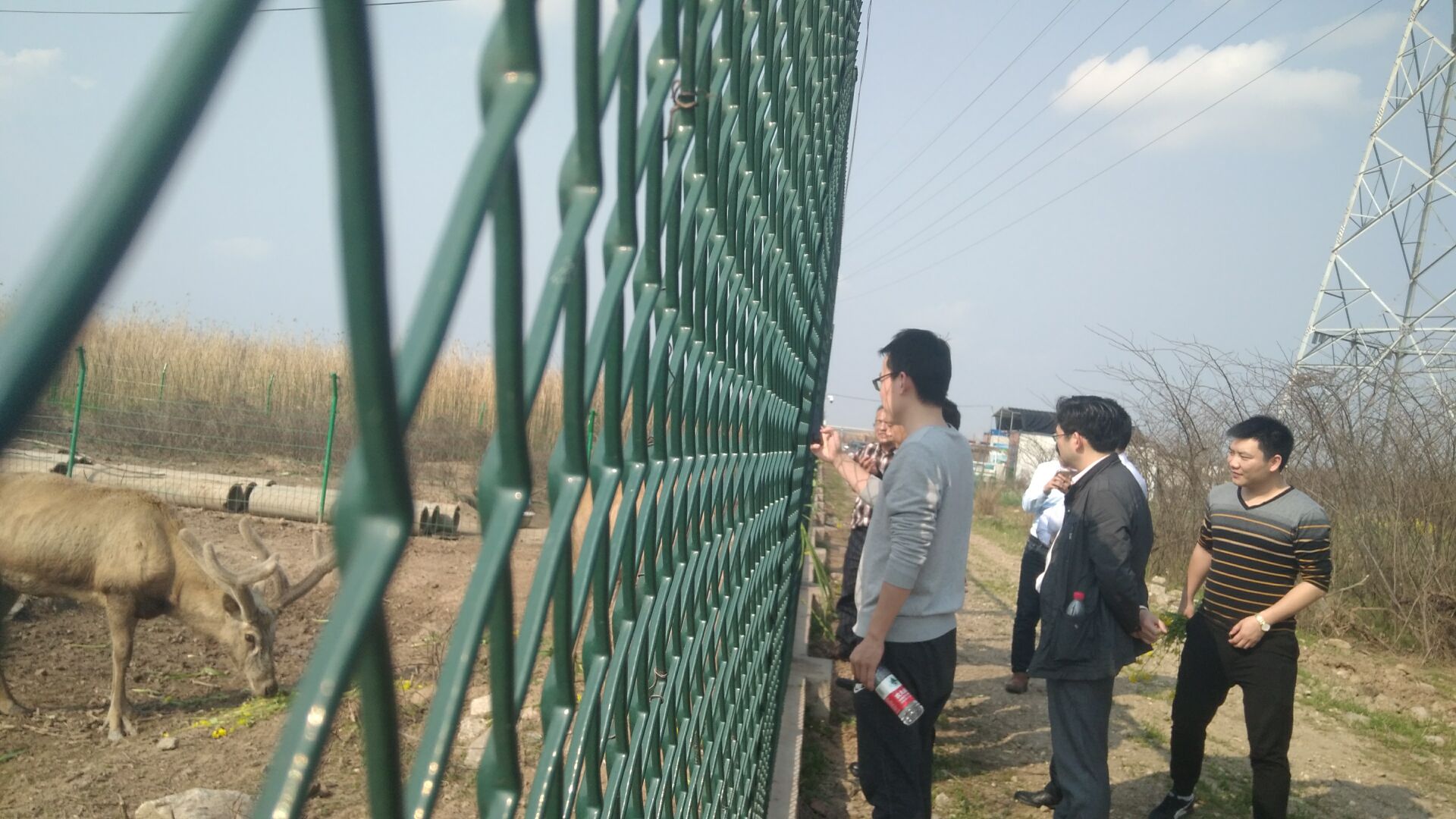 1521769317869411.jpg QQ20180323-1.jpg