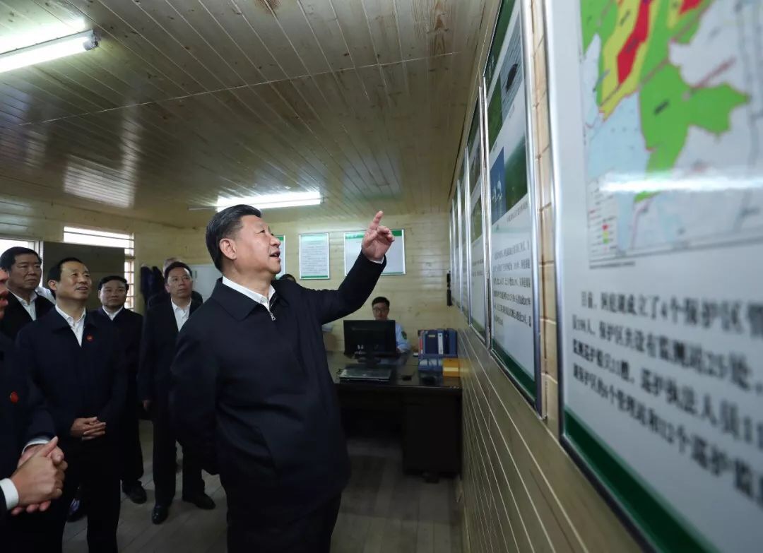 1525310304227989.jpeg WechatIMG3.jpeg