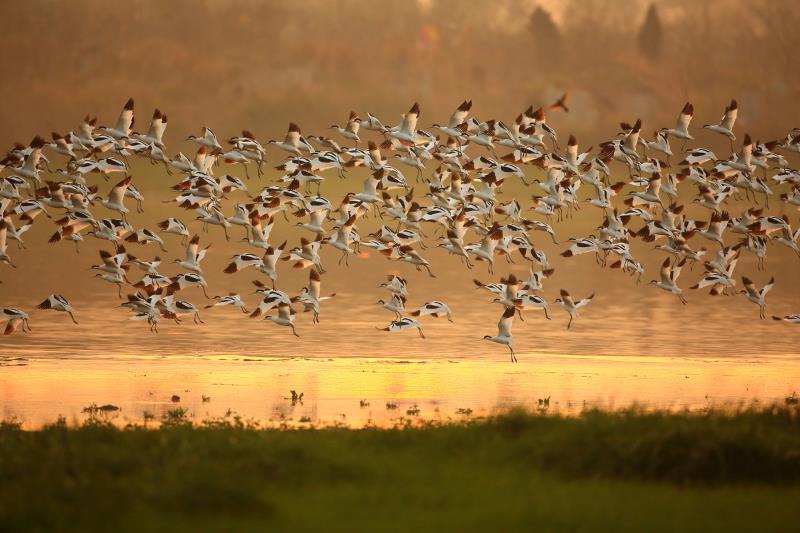 1525310407684374.jpeg WechatIMG6.jpeg