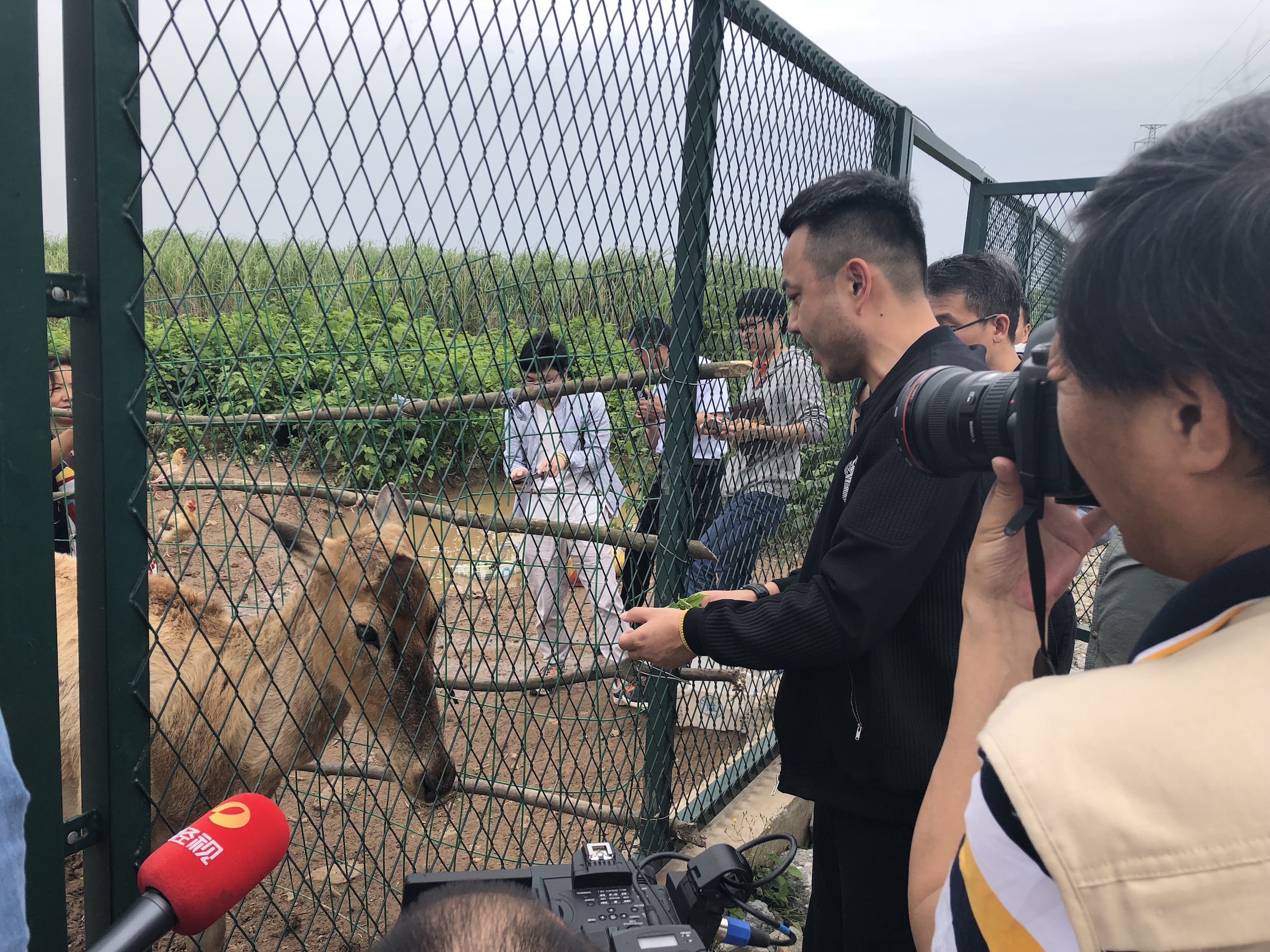 1525523501457525.jpg IMG_3045.JPG