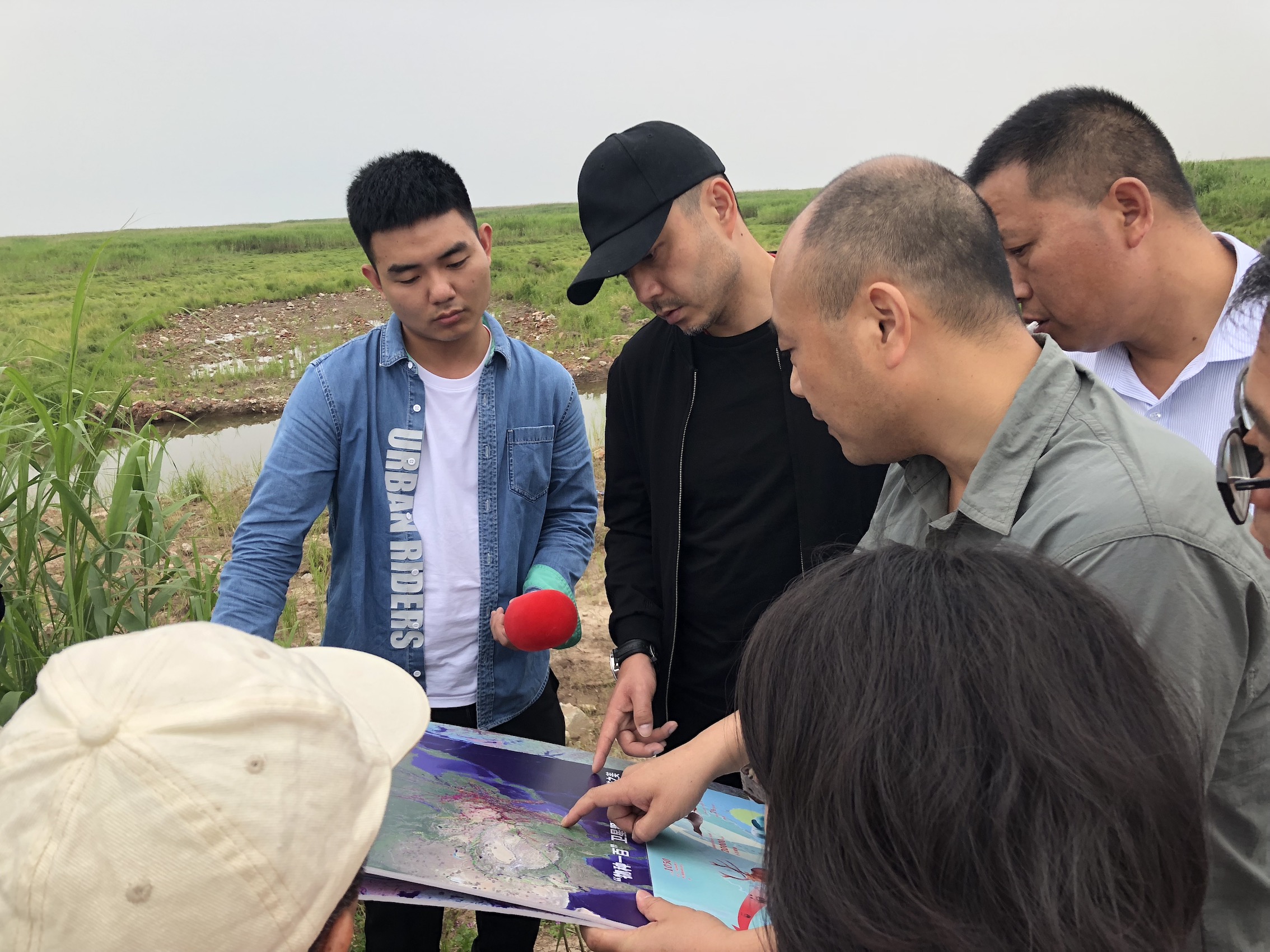 1525523518441917.jpg IMG_3050.JPG