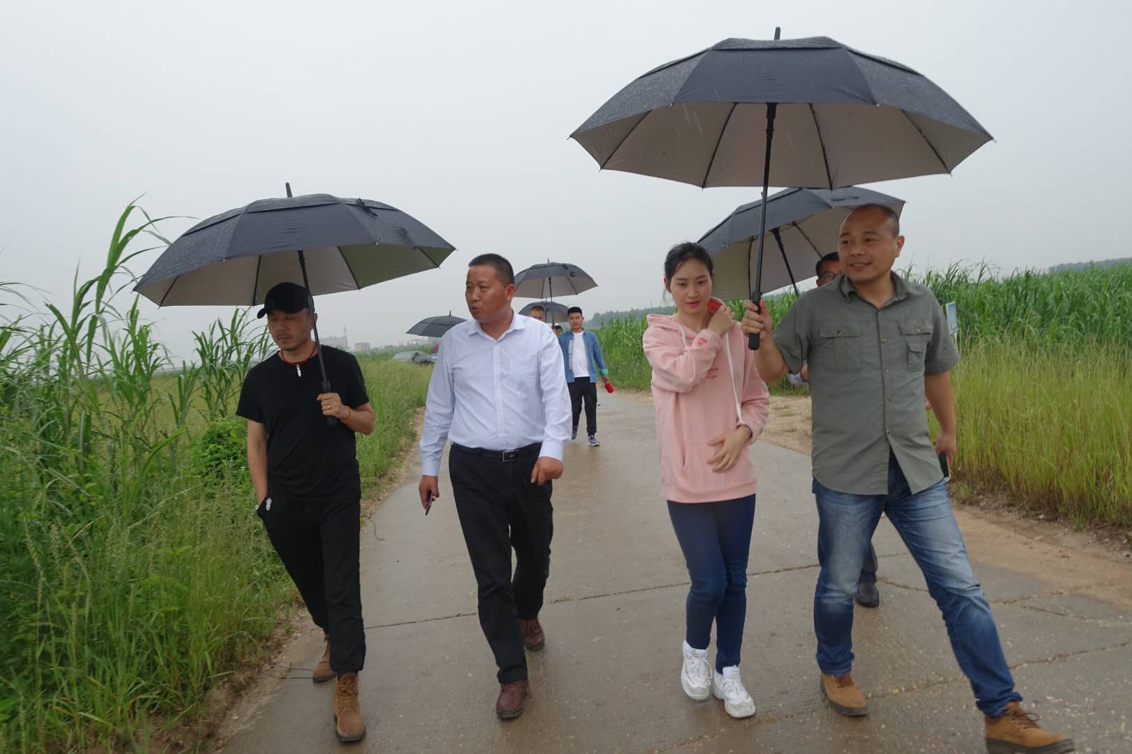 1525523550862052.jpg IMG_3081.JPG