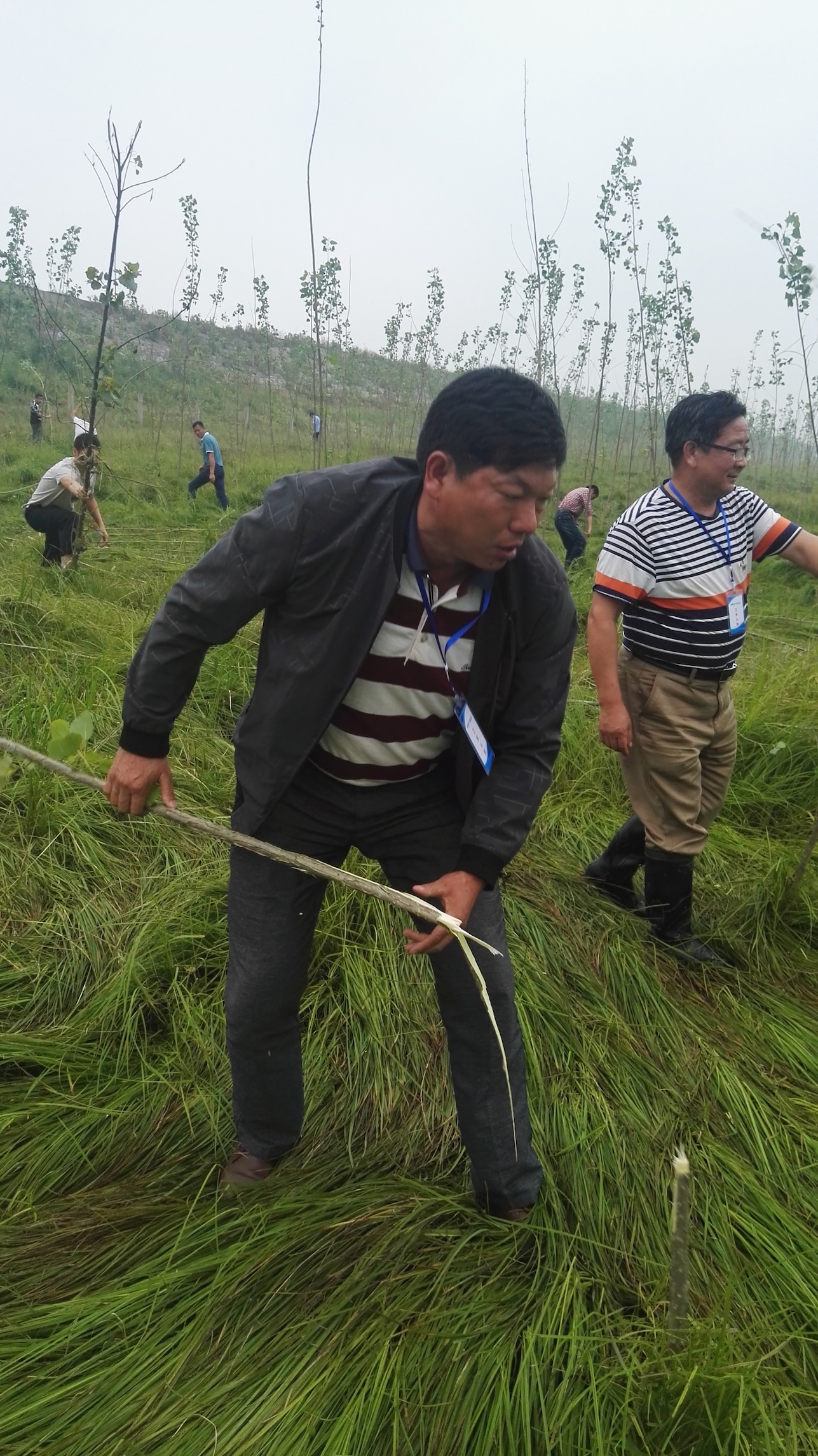 1526349885794224.jpeg WechatIMG5.jpeg