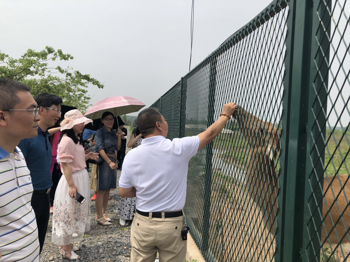 1528250940997748.jpeg WechatIMG4.jpeg