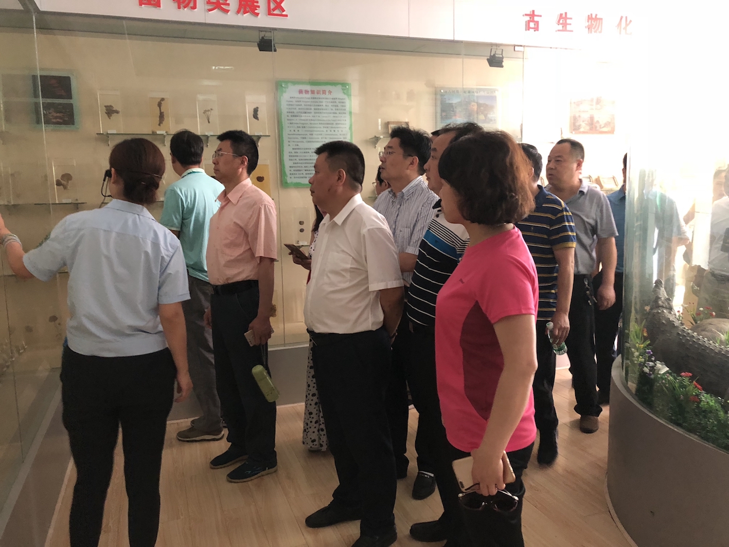 1528251285667520.jpeg WechatIMG6.jpeg