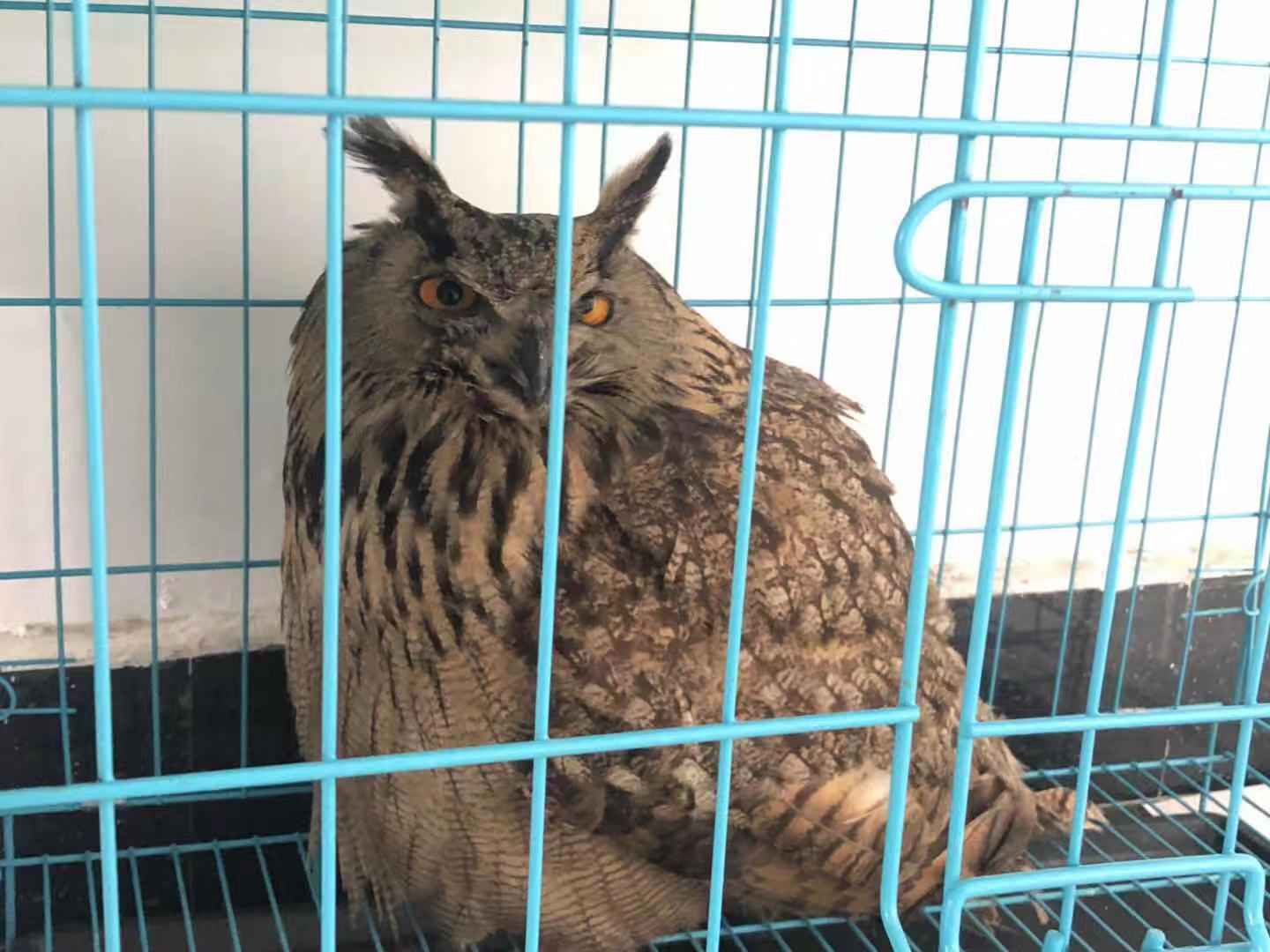 1553135465904036.jpg 微信图片_20190319113448.jpg