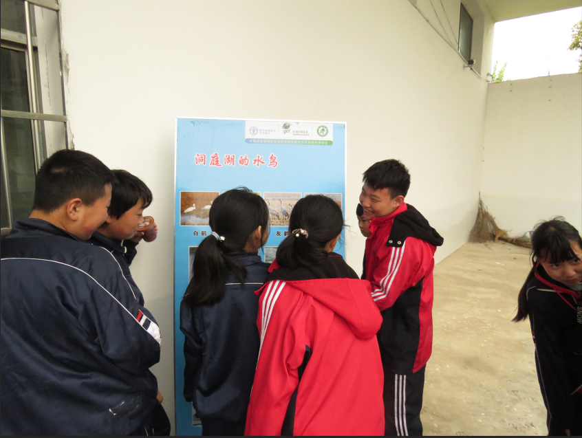 1554259501494883.png 5.png