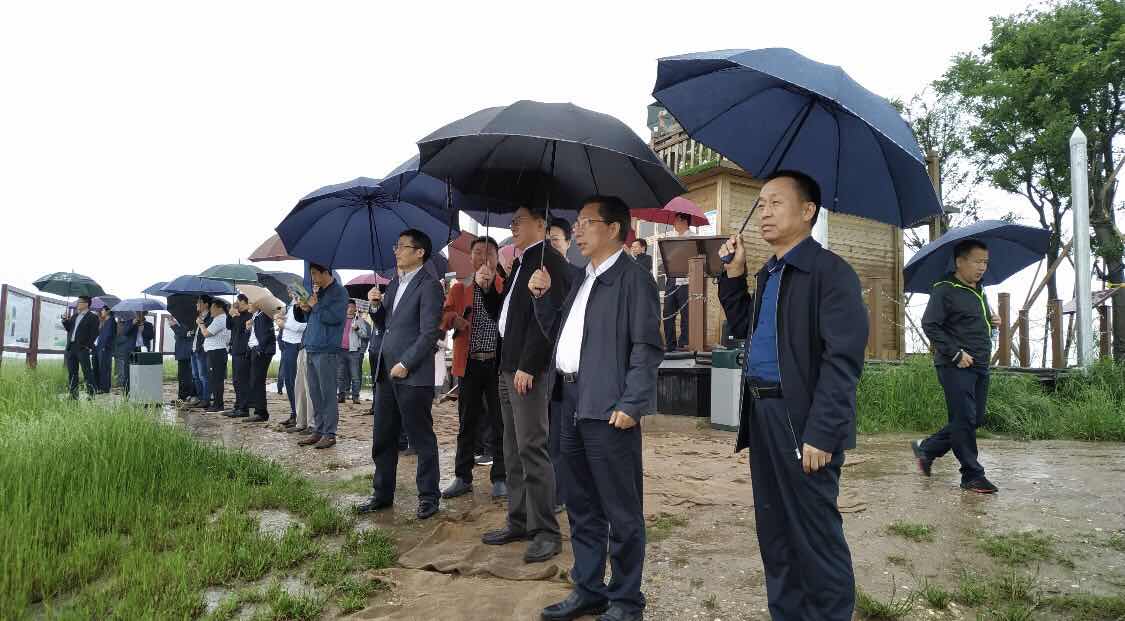 1557977942954510.jpg 微信图片_20190516113835.jpg