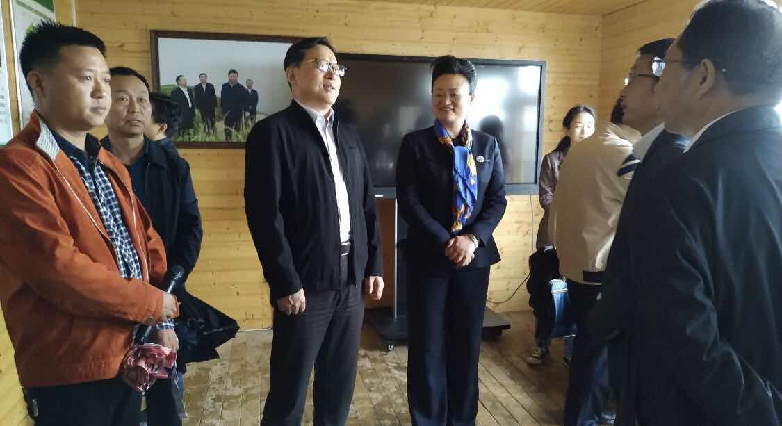 1557977989562513.jpg 微信图片_20190516113846.jpg