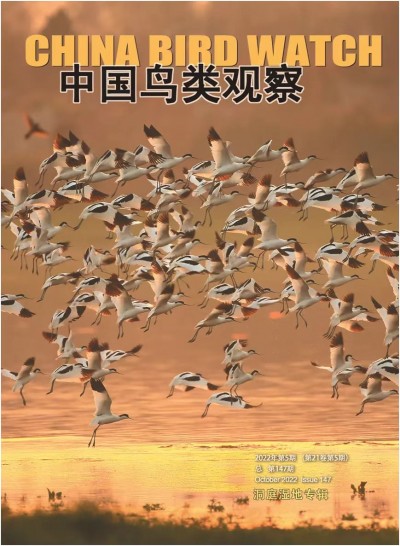 微信图片_20221110093725